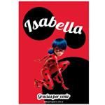 Stickers rect. gdes. Miraculous Ladybug 18u Pers