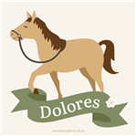 Stickers cuad. Caballos 16u Pers