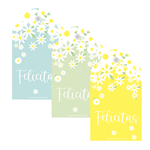 Tarjetas largas con cinta Margaritas 12u