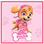 Tarjetitas Paw Patrol Skye 20u Pers