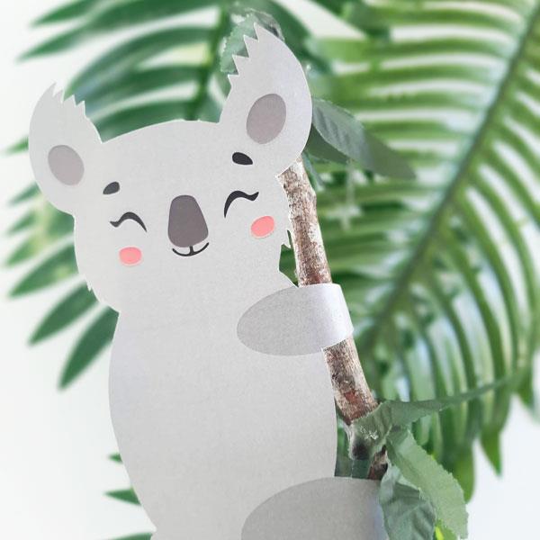 Koala