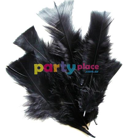 Plumas negras 10u