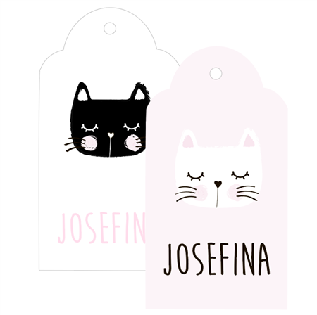 Tarjetas largas con cinta Cat 20u Pers