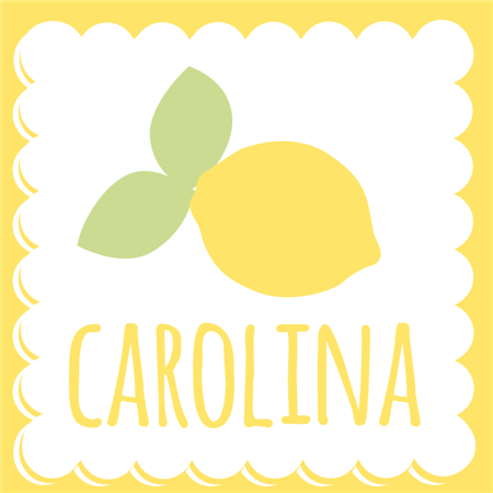 Stickers cuad. Limones 16u Pers