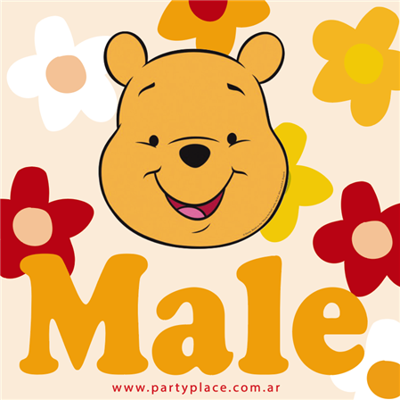 Stickers cuad. Winnie Pooh 16u Pers