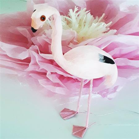 Flamenco plumas