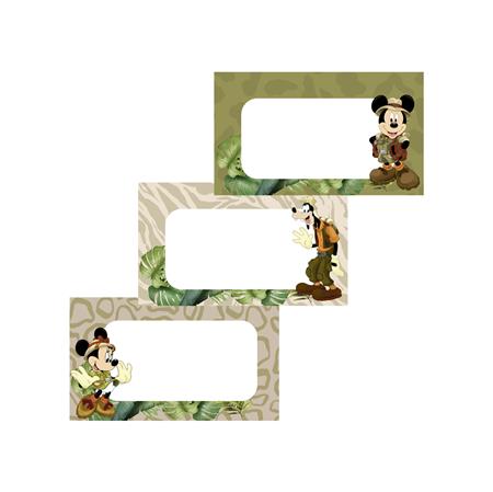 Identificador Mickey Safari 12u