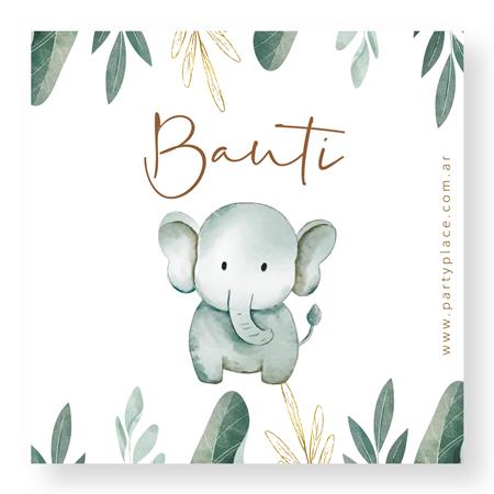 Stickers cuad. Baby Safari 16u Pers