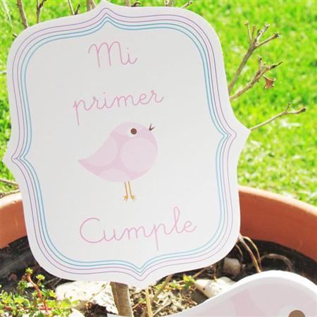 Imagen deco Mi primer Cumple Pio Pio