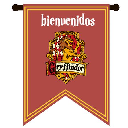 Afiche Pers. Bandera Gryffindor Harry Potter