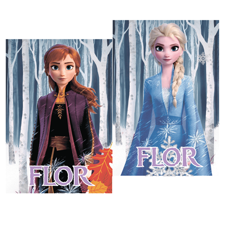 Carpita cartel Frozen 2u Pers