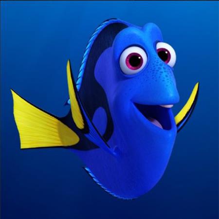 KIT Dory 20 niños
