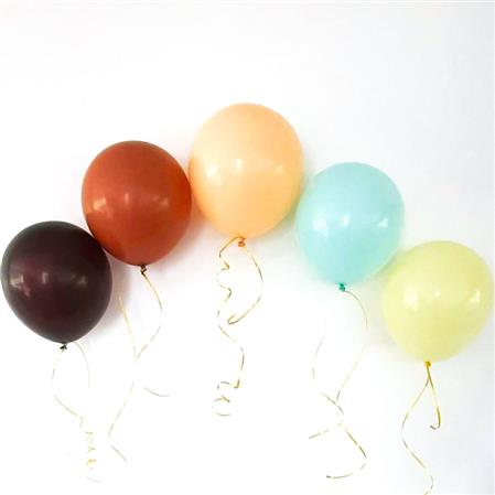 Globos lisos Set Nordic 10u