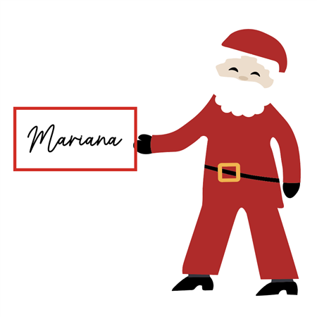 Identificador Papa Noel Festive 10u