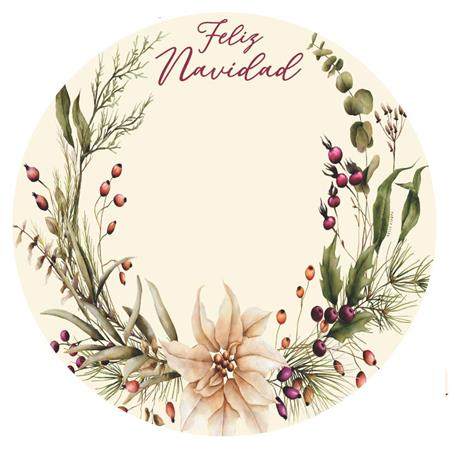 Individuales redondos Guirnalda Nevaidad 24u
