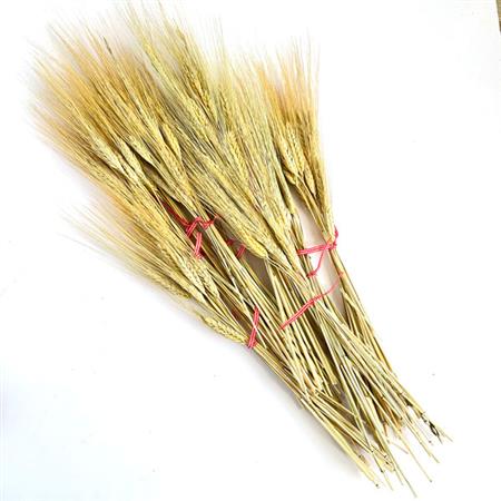 Ramo de espigas