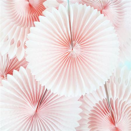Rosetas set pastel Rosas 6u