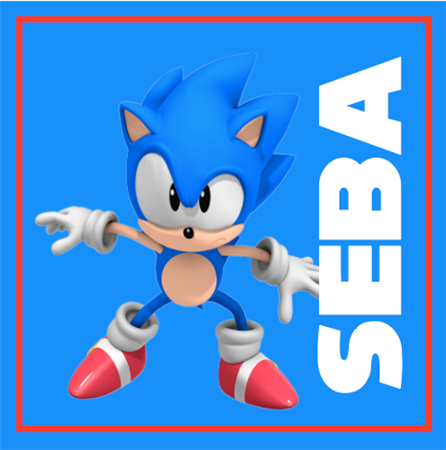 Stickers cuad. Sonic 16u Pers