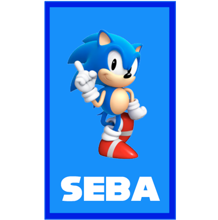 Stickers rect. gdes. Sonic 16u Pers