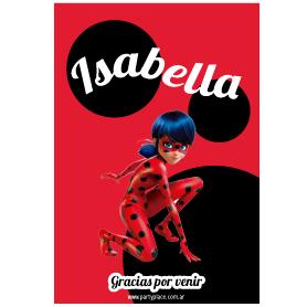 Stickers rect. gdes. Miraculous Ladybug 18u Pers