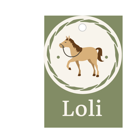 Tarjetitas dobles e hilo Caballos 16u Pers