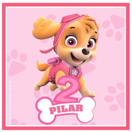 Tarjetitas Paw Patrol Skye 20u Pers