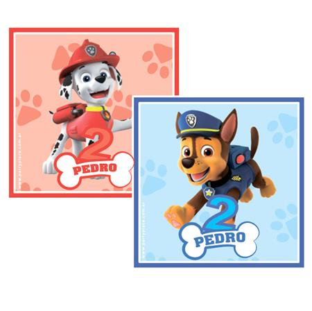 Tarjetitas Paw Patrol 20u Pers