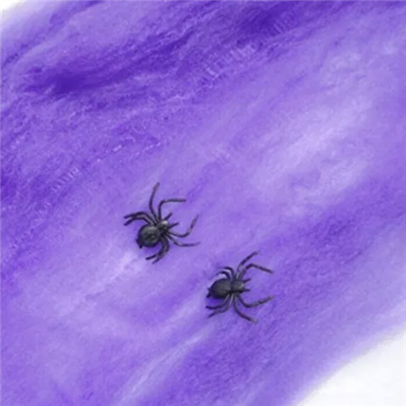 Tela de araña violeta